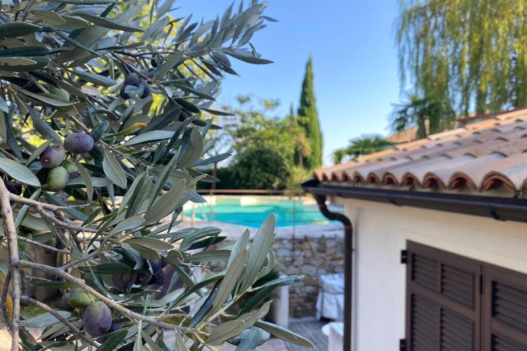 Relais San Sebastiano Villa Pietra Ligure Kültér fotó